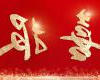 博菜网站大全