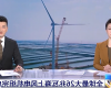 博菜网站大全