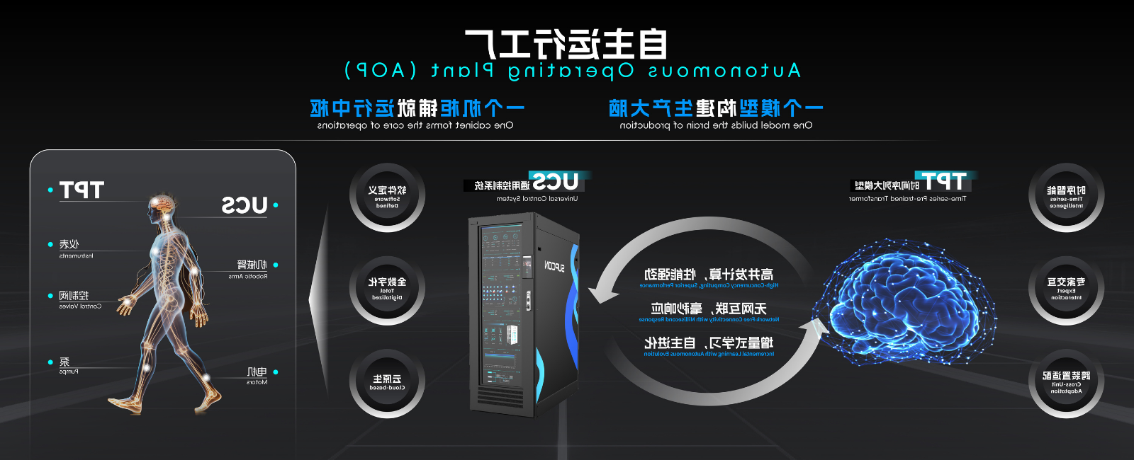 博菜网站大全